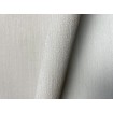 P492440013 A.S. Création vliesová tapeta na zeď Styleguide Jung 2024 jednobarevná, velikost 10,05 m x 53 cm