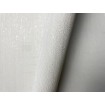 P492440014 A.S. Création vliesová tapeta na zeď Styleguide Jung 2024 jednobarevná, velikost 10,05 m x 53 cm
