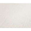 P492440014 A.S. Création vliesová tapeta na zeď Styleguide Jung 2024 jednobarevná, velikost 10,05 m x 53 cm