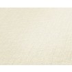 P492440028 A.S. Création vliesová tapeta na zeď Styleguide Jung 2024 jednobarevná imitace textilu, velikost 10,05 m x 53 cm