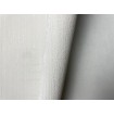 P492440042 A.S. Création vliesová tapeta na zeď Styleguide Jung 2024 jednobarevná, velikost 10,05 m x 53 cm