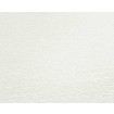 P492440055 A.S. Création vliesová tapeta na zeď Styleguide Jung 2024 jednobarevná, velikost 10,05 m x 53 cm