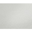 P492440057 A.S. Création vliesová tapeta na zeď Styleguide Jung 2024 jednobarevná, velikost 10,05 m x 53 cm