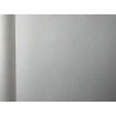 P492440070 A.S. Création vliesová tapeta na zeď Styleguide Jung 2024 jednobarevná, velikost 10,05 m x 53 cm