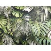 P492440071 A.S. Création vliesová tapeta na zeď Styleguide Jung 2024 palmové listy, velikost 10,05 m x 53 cm