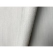 P492440083 A.S. Création vliesová tapeta na zeď Styleguide Jung 2024 jednobarevná, velikost 10,05 m x 53 cm