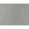 P492440084 A.S. Création vliesová tapeta na zeď Styleguide Jung 2024 jednobarevná, velikost 10,05 m x 53 cm