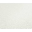 P492440093 A.S. Création vliesová tapeta na zeď Styleguide Jung 2024 jednobarevná, velikost 10,05 m x 53 cm