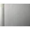 P492440098 A.S. Création vliesová tapeta na zeď Styleguide Jung 2024 jednobarevná, velikost 10,05 m x 53 cm
