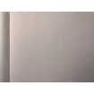 P492440099 A.S. Création vliesová tapeta na zeď Styleguide Jung 2024 jednobarevná, velikost 10,05 m x 53 cm