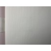 P492440106 A.S. Création vliesová tapeta na zeď Styleguide Jung 2024 jednobarevná, velikost 10,05 m x 53 cm