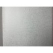 P492440109 A.S. Création vliesová tapeta na zeď Styleguide Jung 2024 bílá s metalickým žíháním, velikost 10,05 m x 53 cm