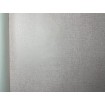 P492440110 A.S. Création vliesová tapeta na zeď Styleguide Jung 2024 bílá s metalickým žíháním, velikost 10,05 m x 53 cm