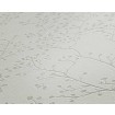 P492440116 A.S. Création vliesová tapeta na zeď Styleguide Jung 2024 přírodní motiv s metalickým prolisem, velikost 10,05 m x 53 cm