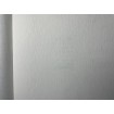 P492440117 A.S. Création vliesová tapeta na zeď Styleguide Jung 2024 jednobarevná, velikost 10,05 m x 53 cm