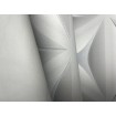 P492440118 A.S. Création vliesová tapeta na zeď Styleguide Jung 2024 retro grafický 3D motiv, velikost 10,05 m x 53 cm