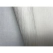 P492440122 A.S. Création vliesová tapeta na zeď Styleguide Jung 2024 jednobarevná se svislým šrafováním, velikost 10,05 m x 53 cm