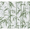 P492450020 A.S. Création historizující vliesová tapeta na zeď Styleguide Natürlich 2024 bambus, velikost 10,05 m x 53 cm