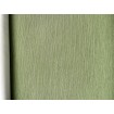P492450021 A.S. Création historizující vliesová tapeta na zeď Styleguide Natürlich 2024 zelená šrafovaná, velikost 10,05 m x 53 cm