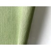 P492450021 A.S. Création historizující vliesová tapeta na zeď Styleguide Natürlich 2024 zelená šrafovaná, velikost 10,05 m x 53 cm