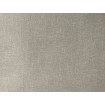 P492450048 A.S. Création historizující vliesová tapeta na zeď Styleguide Natürlich 2024 béžová žíhaná bílou, velikost 10,05 m x 53 cm