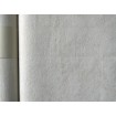 P492450080 A.S. Création historizující vliesová tapeta na zeď Styleguide Natürlich 2024 imitace štuku, velikost 10,05 m x 53 cm