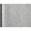 P492450122 A.S. Création historizující vliesová tapeta na zeď Styleguide Natürlich 2024 imitace štuku, velikost 10,05 m x 53 cm