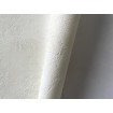 P492450134 A.S. Création historizující vliesová tapeta na zeď Styleguide Natürlich 2024 imitace štuku, velikost 10,05 m x 53 cm