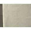 P492450137 A.S. Création historizující vliesová tapeta na zeď Styleguide Natürlich 2024 imitace štuku, velikost 10,05 m x 53 cm