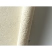 P492450137 A.S. Création historizující vliesová tapeta na zeď Styleguide Natürlich 2024 imitace štuku, velikost 10,05 m x 53 cm