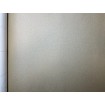 P492460007 A.S. Création vliesová tapeta na zeď Styleguide Design 2024 jednobarevná mírně metalická, velikost 10,05 m x 53 cm