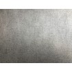 P492460022 A.S. Création vliesová tapeta na zeď Styleguide Design 2024 žíhaná s metalickým nádechem, velikost 10,05 m x 53 cm