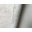 P492460112 A.S. Création vliesová tapeta na zeď Styleguide Design 2024 imitace loupaného betonu, velikost 10,05 m x 53 cm