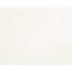 P492440100 A.S. Création vliesová tapeta na zeď Styleguide Jung 2024 jednobarevná, velikost 10,05 m x 53 cm
