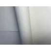 p492470062 A.S. Création vliesová tapeta na zeď Styleguide Colours 2024 jednobarevná šrafovaná, velikost 10,05 m x 53 cm