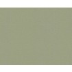 p492470095 A.S. Création vliesová tapeta na zeď Styleguide Colours 2024 jednobarevná, velikost 10,05 m x 53 cm