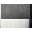 p492470202 A.S. Création vliesová tapeta na zeď Styleguide Colours 2024 žíhaná, velikost 10,05 m x 53 cm