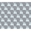 WP-003-02 Dimex Line vliesová látková tapeta na zeď - Šedý grafický vzor s 3D efektem, velikost 10,05 m x 75 cm