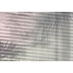 KOMR 950-4 Vliesová fototapeta na zeď Komar - Shadows - stíny na betonové zdi, velikost 368 x 248 cm