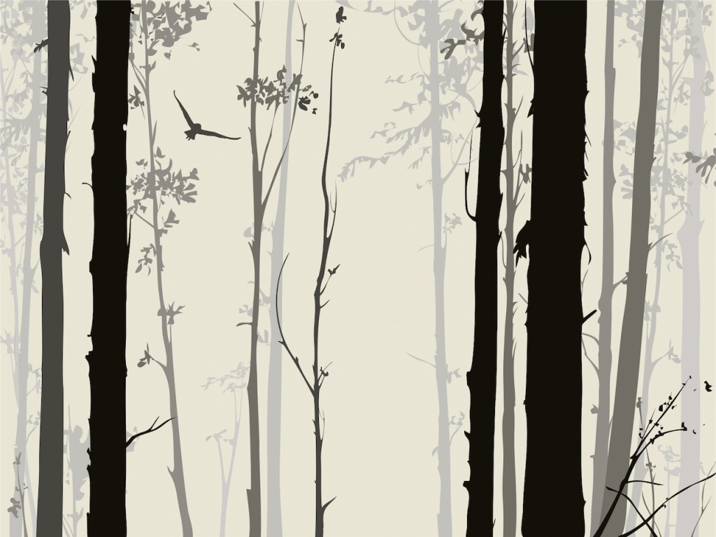 Levně FTNS 1262 AG Design vliesová fototapeta 4-dílná Mystic Forest - Mystický les, velikost 360 x 270 cm