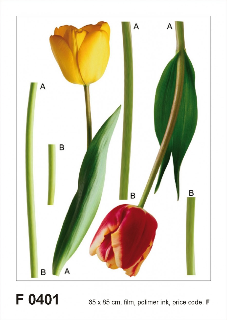 Levně F 0401 AG Design Samolepicí dekorace - samolepka na zeď - 2 tulips, velikost 65 cm x 85 cm