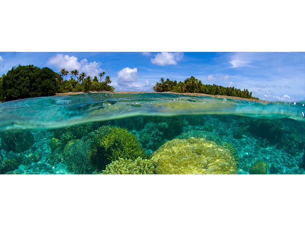 Levně MP-2-0200 Vliesová obrazová panoramatická fototapeta Coral Reef + lepidlo Zdarma, velikost 375 x 150 cm