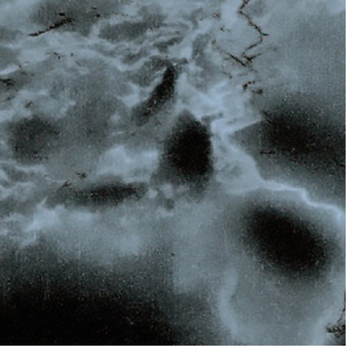 10101 Samolepící fólie renovační Gekkofix - Mramor Carrara černá, šíře 45 cm