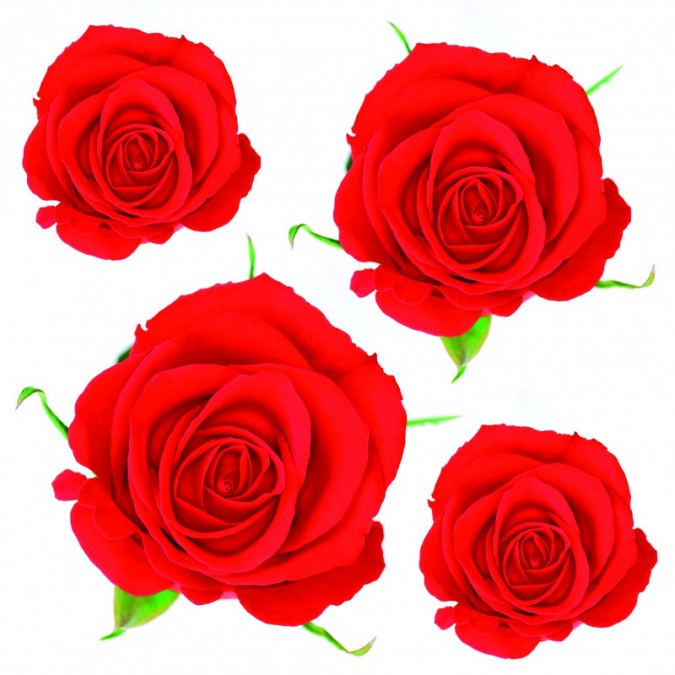 Red Roses 42010 samolepící dekorace růže