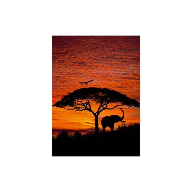 KOMR 105-4 african-sunset Fototapeta Komar obrazová, velikost 194 x 270 cm