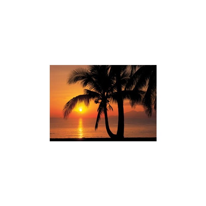 KOMR 552-8 Palmy beach Sunrise Fototapeta Komar