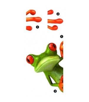 Frog 59453 samolepící dekorace Crearreda žába, velikost 15x31 cm, 2 kusy