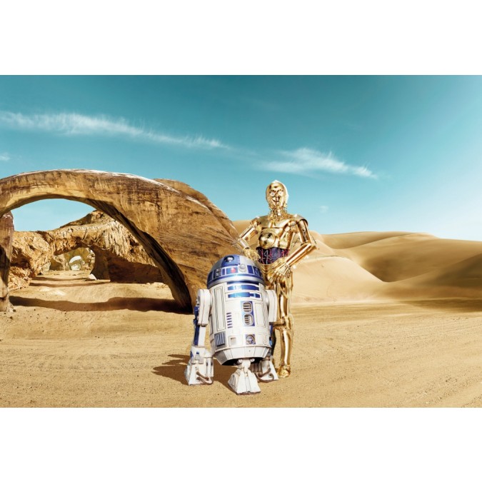 KOMR 484-8 Obrazová fototapeta Komar Star Wars Lost Droids, velikost 368 x 254 cm