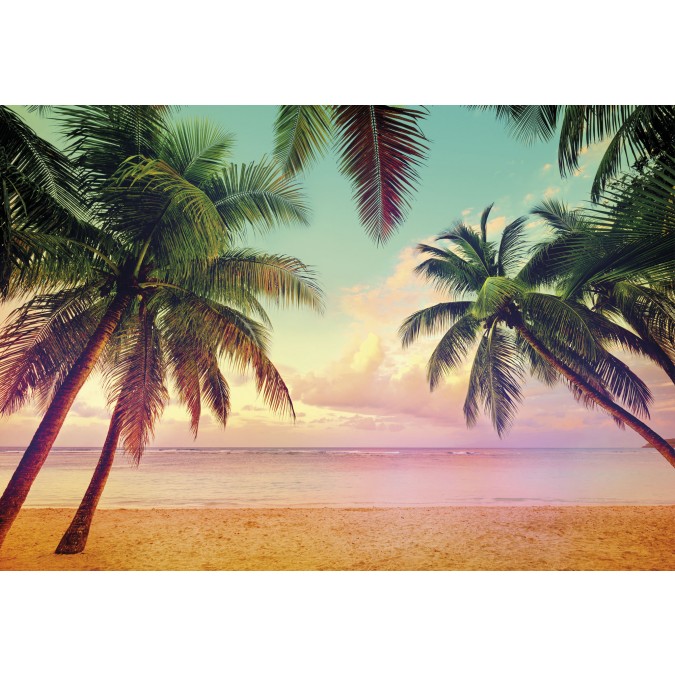 KOMR 769-8 Papírová otiratelná fototapeta na zeď Komar Miami pláž a palmy, velikost 368 x 254 cm