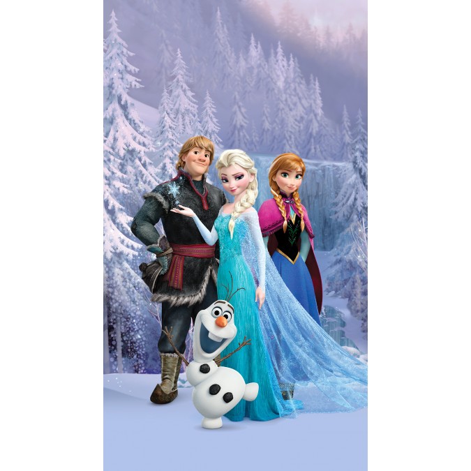 FCP L 6147 AG Design textilní foto závěs dětský obrazový Frozen - Ledové království Disney FCPL 6147 s úplným zastíněním, velikost 140 x 245 cm